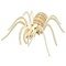 Wild Science WILD Science, Environmental Science, Extreme Spiders of the World, For Ages 6+ WES945 - alternate 5